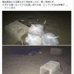 海辺でバーべキューができなくなってきている理由を少しでも多くの方に知っていただきたい