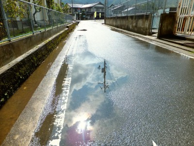 雨上がりの道