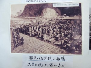 松葉ガニの並ぶ戦前の香住漁港