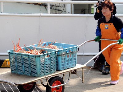 底引き船からの荷揚げ