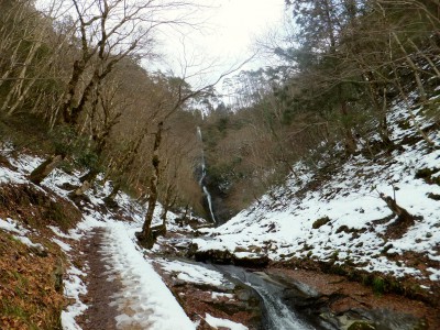 冬の猿尾滝
