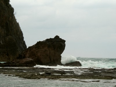 1月15日のかえる島