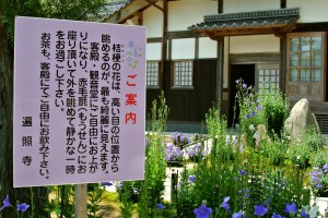 桔梗寺と言われている遍照寺さん