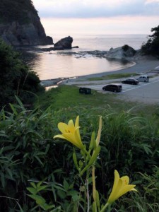 ユウスゲとかえる島