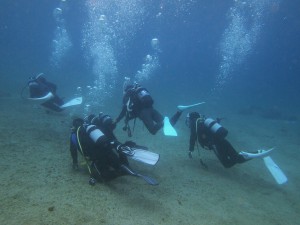 透明度の良い佐津の海にてダイバー