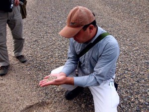 実際に佐津ビーチの砂に触れてみて！