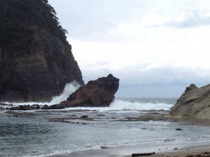 荒れた日のかえる島