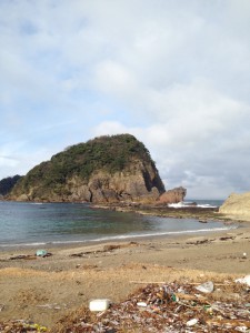 1/14のかえる島