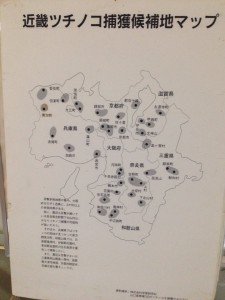 ツチノコマップ