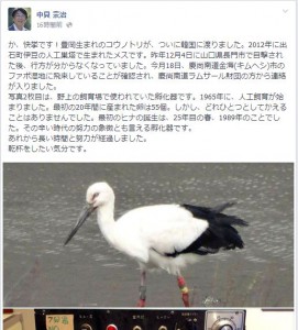 中貝市長のfacebook