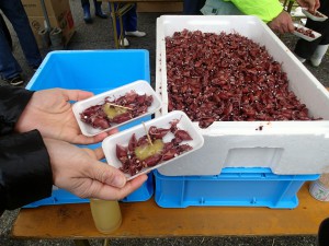 辛子酢みそで食べる茹でホタルイカ