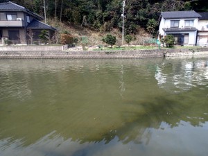 家のすぐ横の川