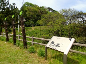 今子浦高台