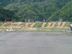 ゆーらく館前の田んぼ