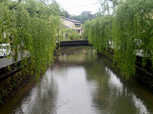 城崎温泉の柳並木