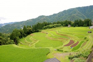 うへ山の棚田