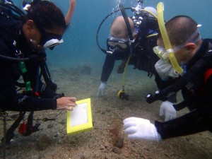 水中にてお勉強