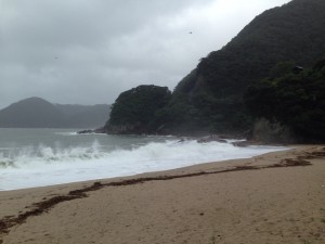 0810台風通過直後の波