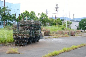 紅ズワイガニ漁のかご