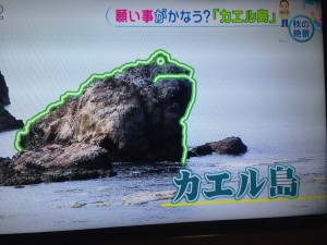 とくダネ！より「かえる島」