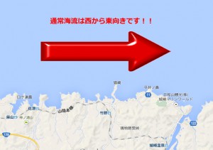 日本海の海流は西から東