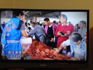 一昨日夕方のニュースにて