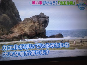 とくダネ！より「かえる島」