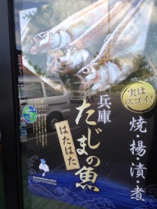 たじまの魚ポスター
