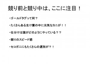 松葉ガニ競りでの注目点