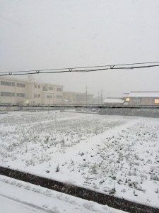 1214朝の雪景色