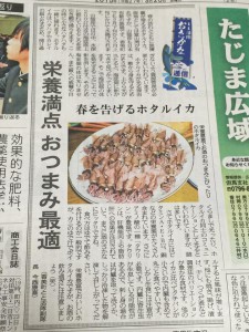 日本海新聞「ホタルイカ」