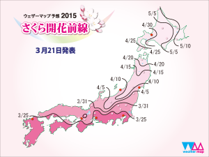 桜開花予想2015