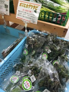 珍しい山菜