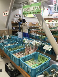 まほろばの山菜販売