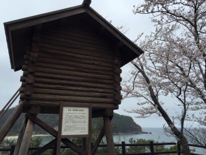 魚見台と桜