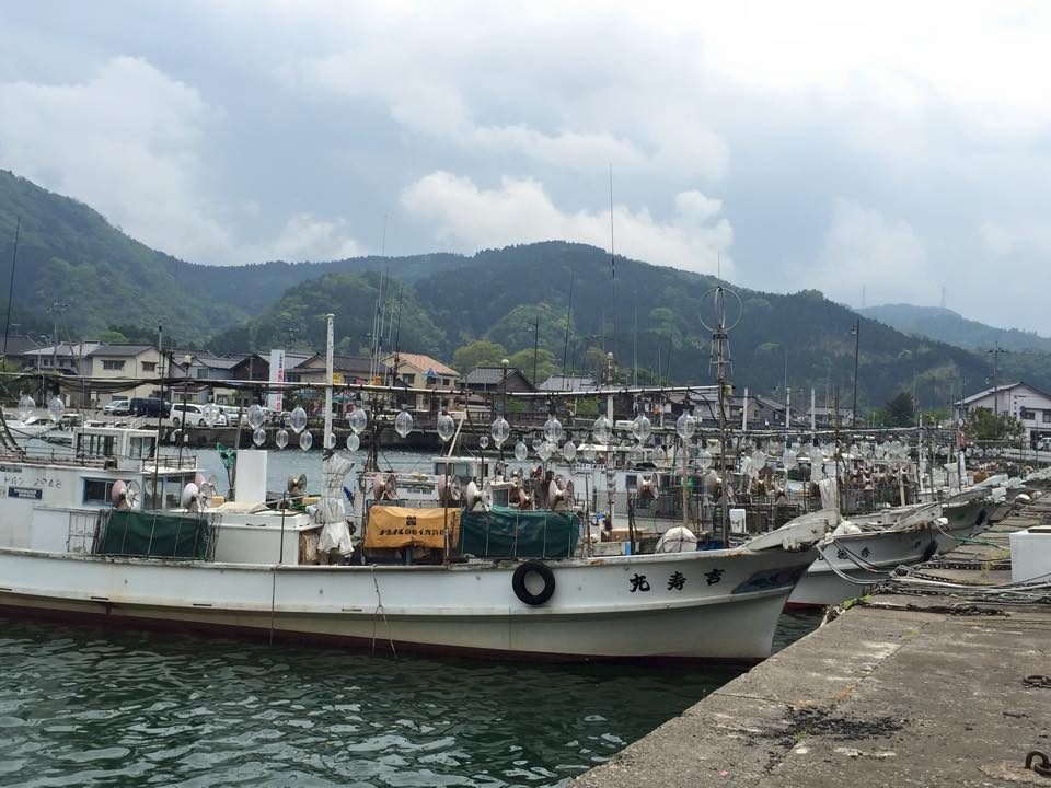 イカ釣りは何故夜に行うのか イカは集魚灯の光に集まるのではなく暗い場所に逃げ込んでくる 香住 佐津温泉 民宿かどや 公式ブログ