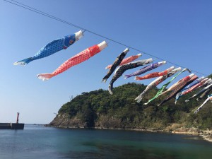 海と鯉のぼり