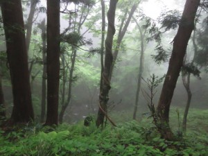 吉滝へ行く途中