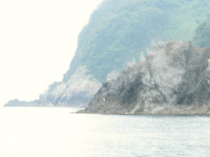 海から見た大引の鼻展望台の先端