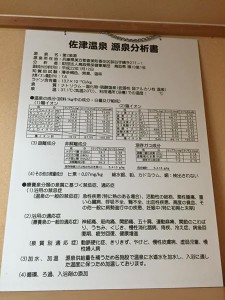 佐津温泉分析表