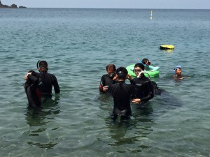 佐津は美しい海