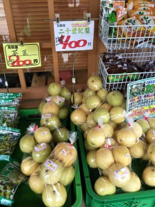 あまるべ道の駅にて梨２