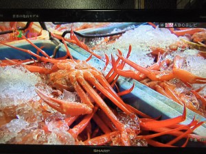 香住がに競り