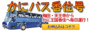 kanibus_kasumi