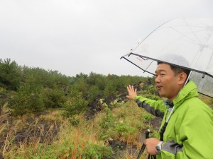 クロマツからの植生の話