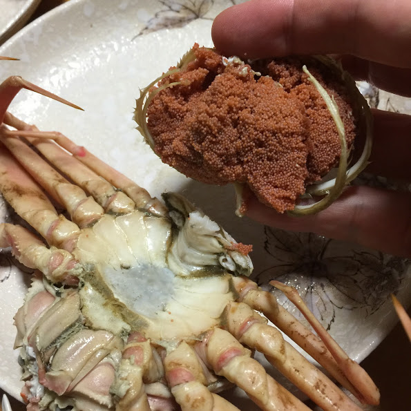 小さいから食べにくいとは言わせない ゆでセコガニの食べ方 香住 佐津温泉 民宿かどや 公式ブログ
