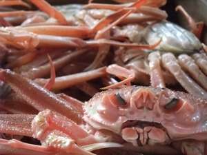 紅ズワイガニのメスって食べることはできないのですか 香住佐津温泉 民宿 美味し宿かどや公式ブログ