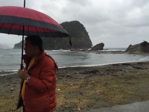 雨のかえる島