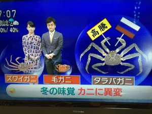 NHKカニ高騰ニュース