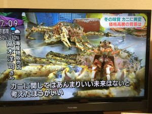 NHKカニ高騰のニュースより